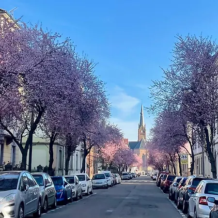 Magnifique De 91m2 Au Centre De * Colmar